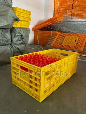 Eggs Transportation Trays