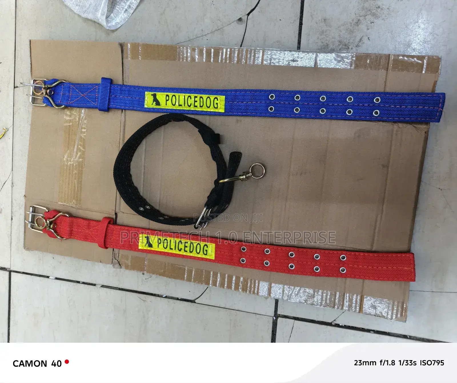 Dog Collar Medium Dog