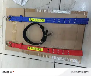 Dog Collar Medium Dog