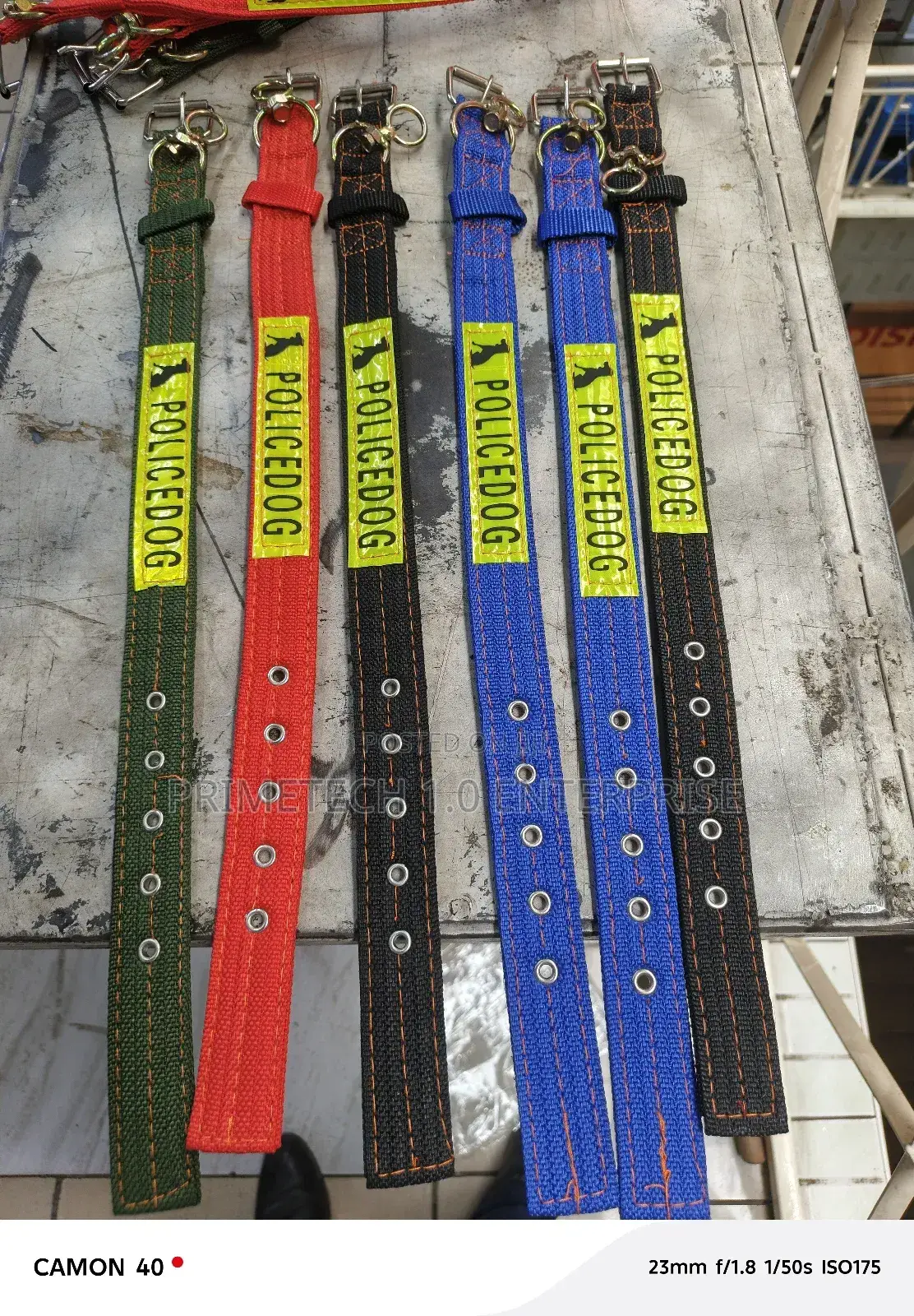 Dog Collar, Dog Collar -New