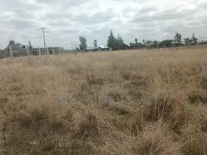 50x100 Commercial Plot 800m From Kangundo Rd.