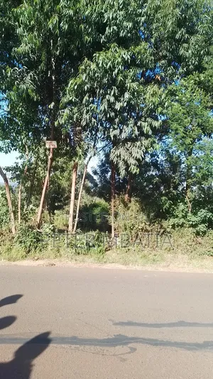 Plot for Sale in Kiambu