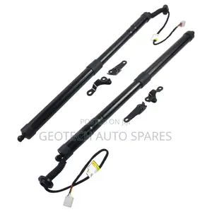 Lexus Nx200 Nx300 Electric Boots Shocks