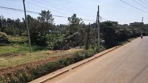 1/2 Acre Rhino Park Road at 40m