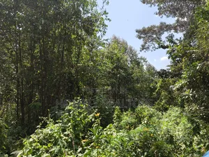2.3 Acres of Land on Sale in Ngong Kahara. Has Trees Touches Main Road