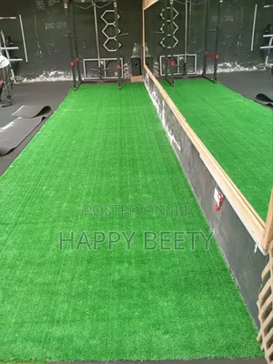 Grass Carpet Ideal for Play Ground/Restaurant/Home Etc