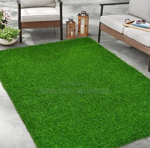  Elegant Grass Carpet – Adds Natural Charm to Homes Offices