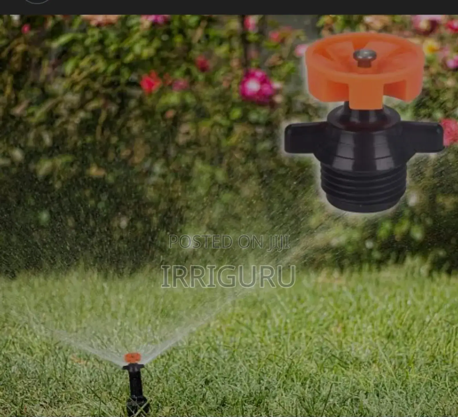 Round Drops