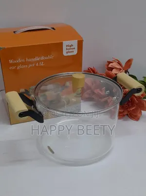 Borosilicate Cooking Pot