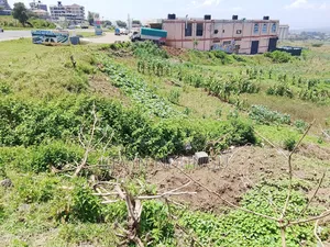 3 50*100 Plot for Sale in Kiamunyi
