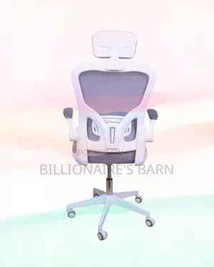 White Ergonomic Office Chair | Sleek Lumbar Support