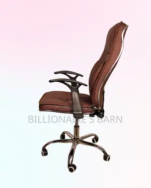 Modern Ergonomic Executive Leather Chair | Steel Frame