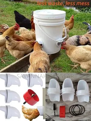 Automatic Weather-Proof Chicken Feeder - 4 Pieces