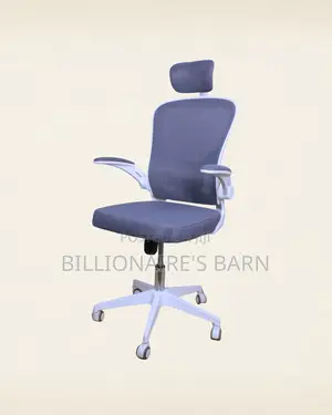 White Ergonomic Office Chair (Adjustable) — Fast Seller