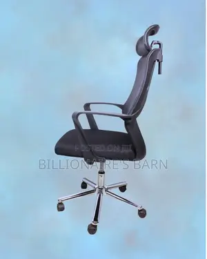 High Back Mesh Office Chair | Orthopedic Lumbar Support