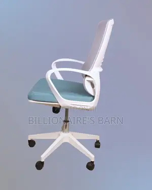 White Ergonomic Mesh Office Chair | Supportive Lumbar Support