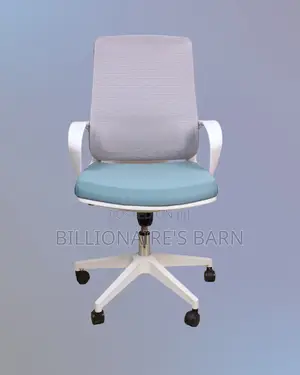 White Ergonomic Mesh Office Chair | Supportive Lumbar Support