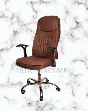 Ergonomic Executive Leather Chair | Premium Mesh Backrest