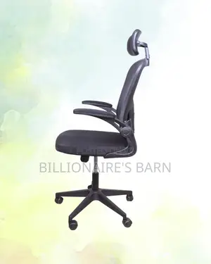 Breathable Grey Ergonomic Office Chair | Lumbar Support