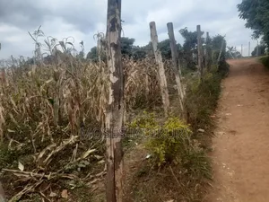 50 by 100 Plot for Sale