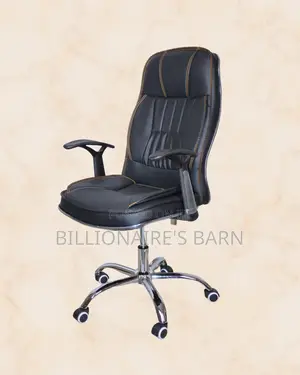 Executive Leather Office Chair | New Arrival Mesh Backrest