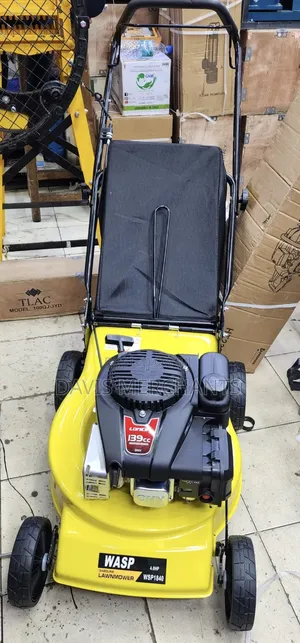 Wasp Loncin 4hp Lawnmower Machine With 139cc