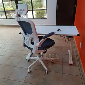 Imported Adjustable Desk