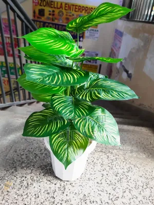 Smallsmall Artificial Plant – Indoor/Office/Home Table Décor