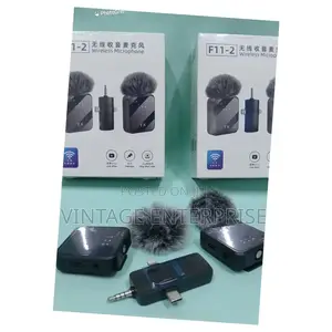 3 in 1 Wireless Microphone