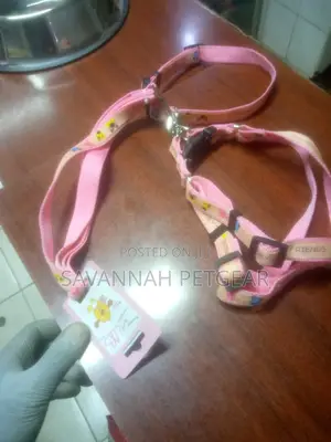 Dog Leashes and Collars for All Sizes of Dogs