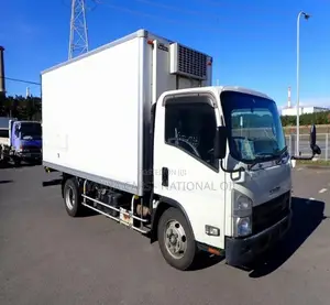 Isuzu Elf 2017 Freezer