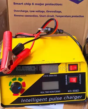 Battery Charger/ Smart Intelligent Pulse Charger 12/24v