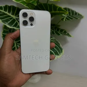Apple iPhone 12 Pro Max 256 GB Gray