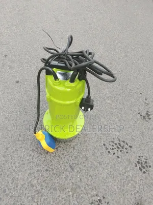 Electrical Water Pump/Submersible Water Pump