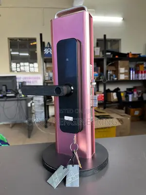 Bank Mobile App Door Lock