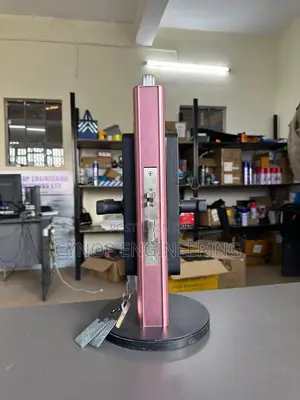 Office Fingerprint Door Access