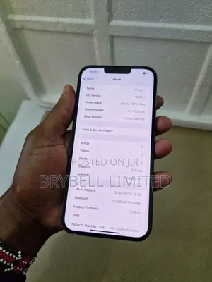 Apple iPhone 13 Pro Max 256 GB Blue