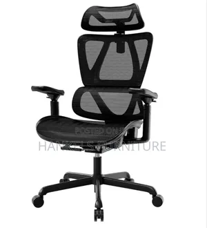 High Back, Ergonomic Orthopedic Computer Chair