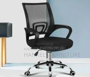 Ergonomic Low Back Mesh Chair