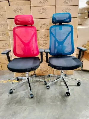Comfort Ergonomic Chair