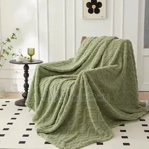 Monolayer Winter Throw Blanket/Fleece Blanket