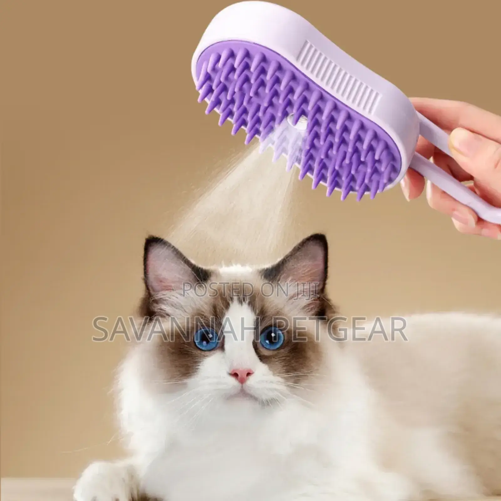 Electric Spray Pet Massage Comb for Grooming Cats
