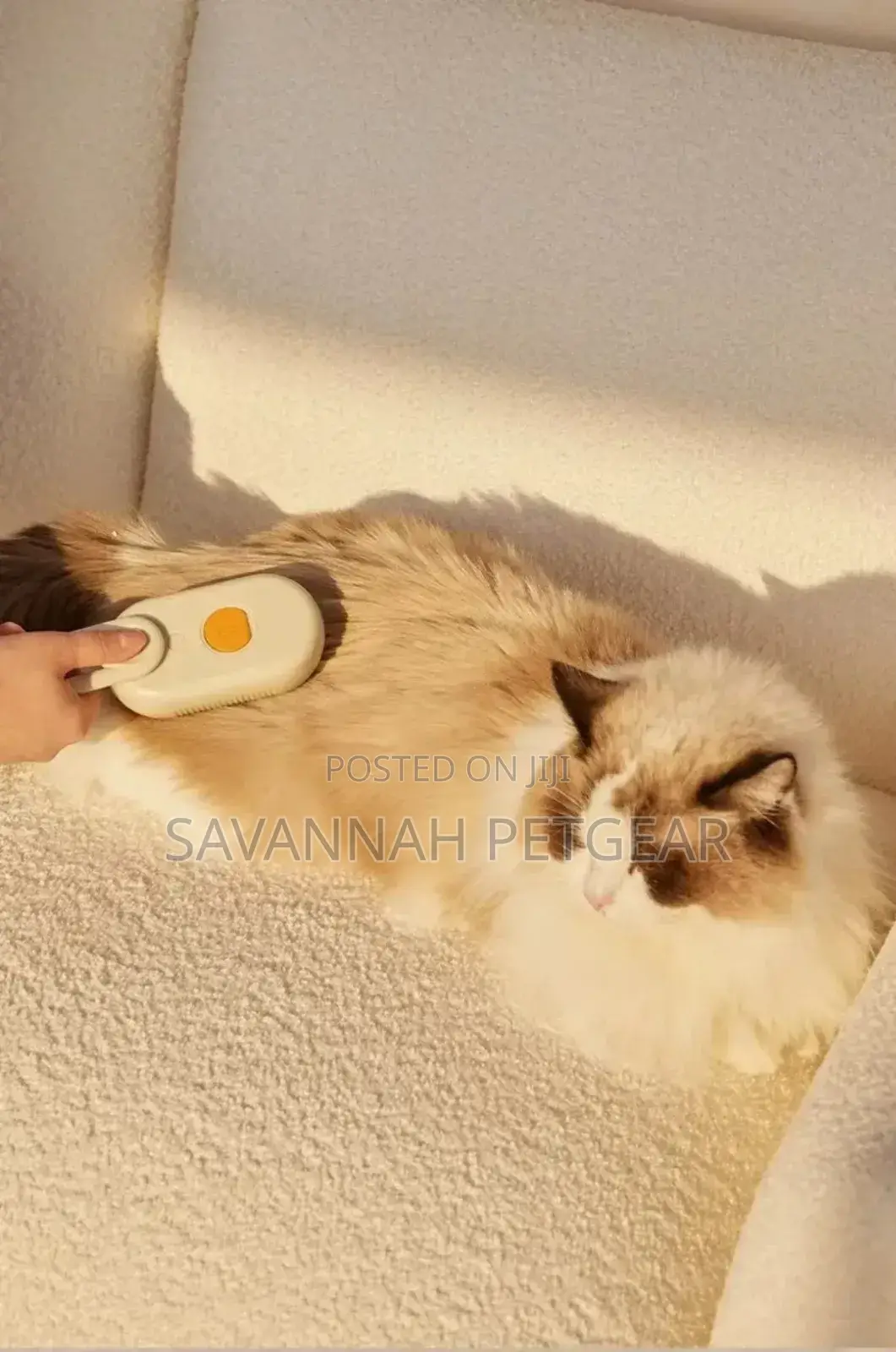 Electric Spray Pet Massage Comb for Grooming Cats