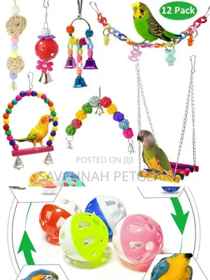 Colourful Rattan Hanging Toys Set for Parrots, Budgie - 12 Pieces