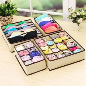 Undergarment Organizer