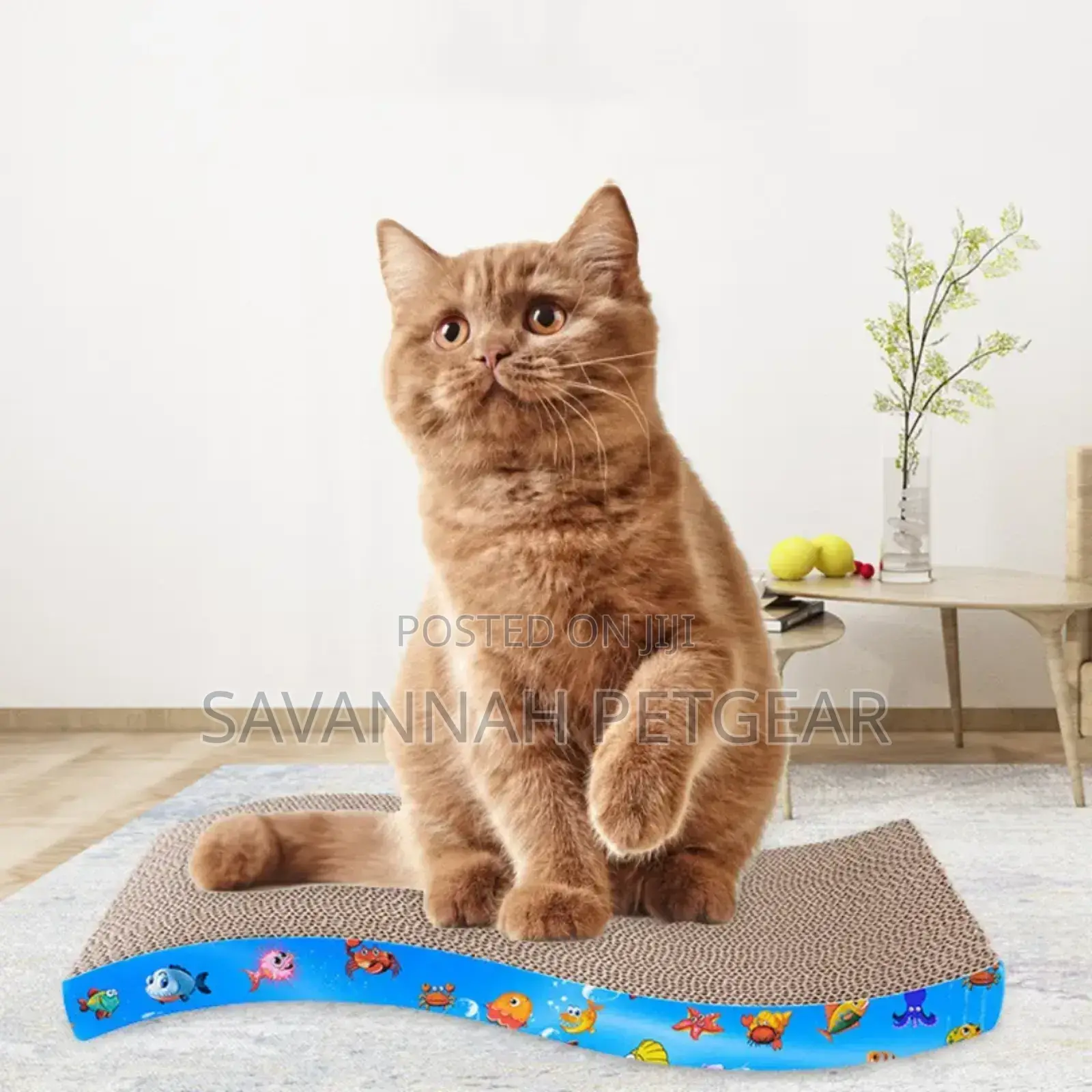 Kitten Cat Scratching Board Cat Scratching Toy