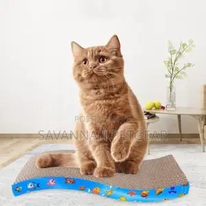 Kitten Cat Scratching Board Cat Scratching Toy