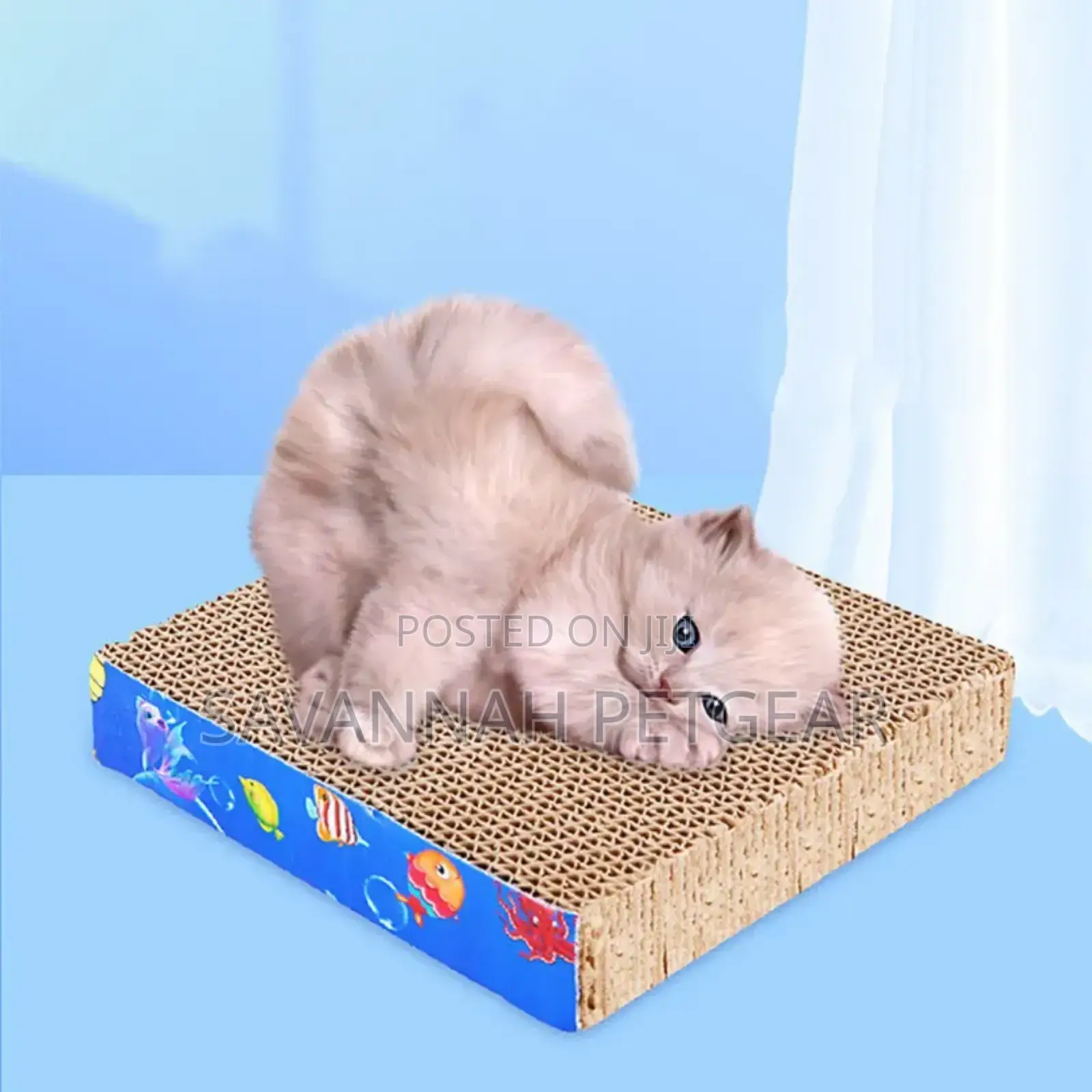 Kitten Cat Scratching Board Cat Scratching Toy