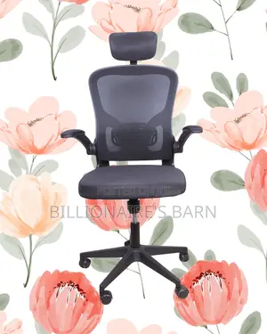 New Arrival Grey Ergonomic Office Chair — Relieves Lower Back Pressure