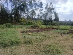 Urbannest Ke